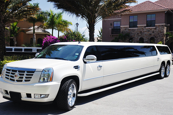 Syracuse 20 Passenger Limo